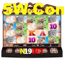 N19Bet